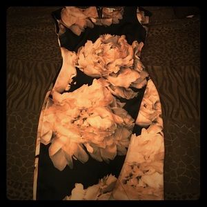 Dress - worn twice !!