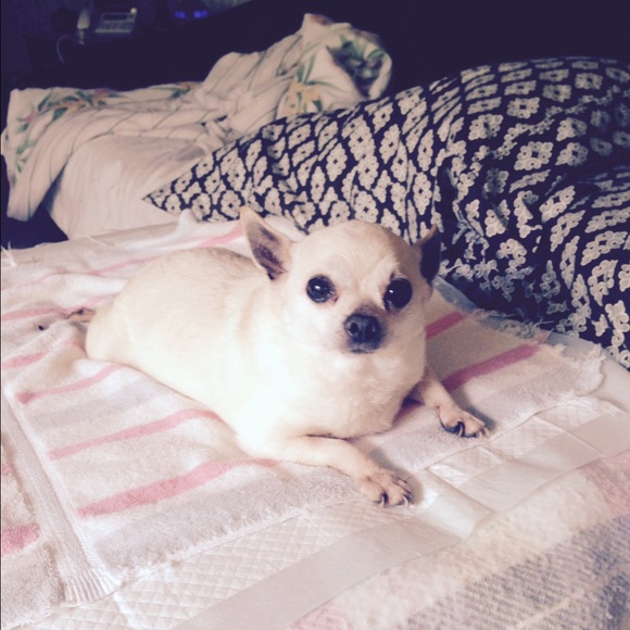 Meet your Posher, Wendy - Picture 1 of 1