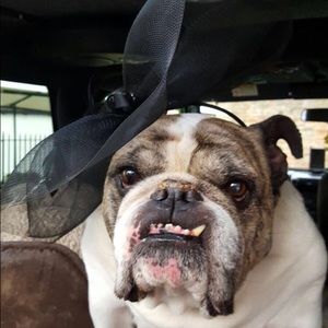 Meet your Posher, Megan