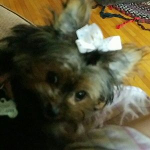 Meet your Posher, Beth