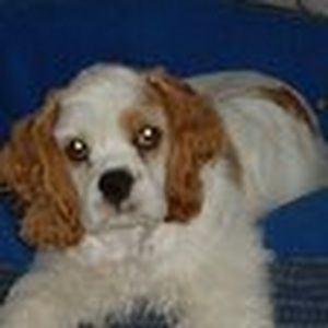 Meet your Posher, Kristine