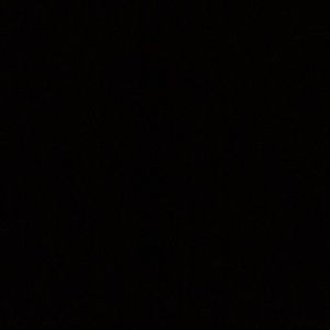 Meet your Posher, Shea