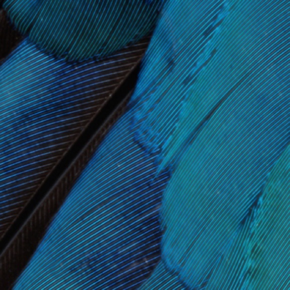 Meet your Posher, Anna - Picture 1 of 1