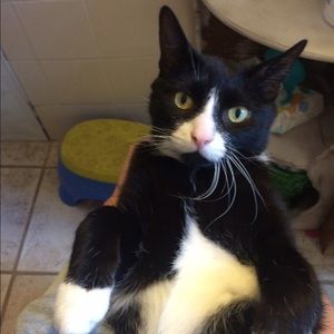 Meet your Posher, Tris