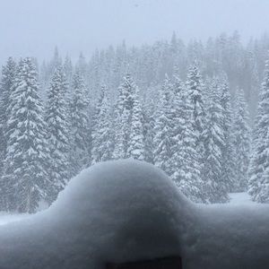 Meet your Posher, Carolyn