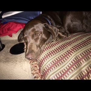 Meet your Posher, Faith