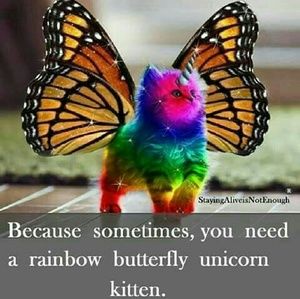 Meet your Posher, Alandra