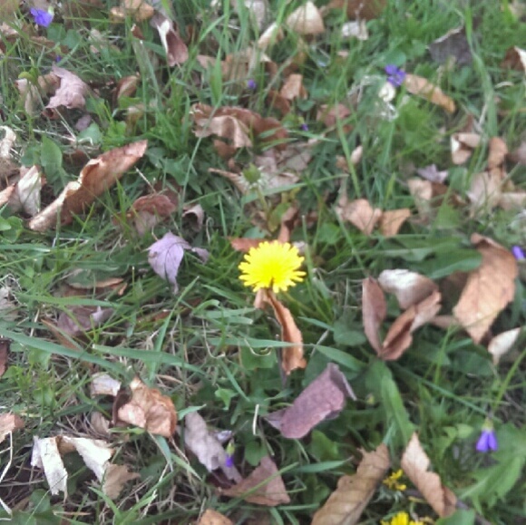 Picture pretty - Picture 4 of 4