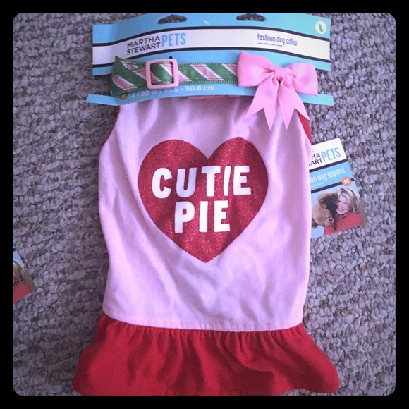 Martha Stewart Dog Shirt and Collar
