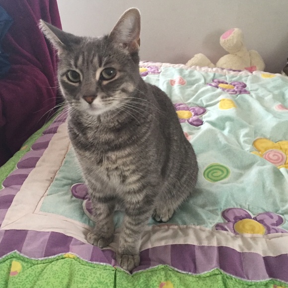 💟Meet me💟 - Picture 4 of 4