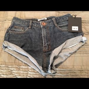 One Teaspoon shorts