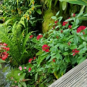 Meet your Posher, Paulette