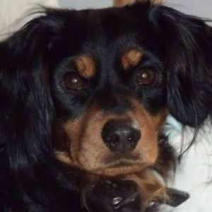 Meet your Posher, Lori