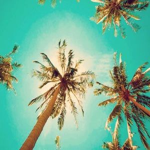 Meet your Posher, Jacqui