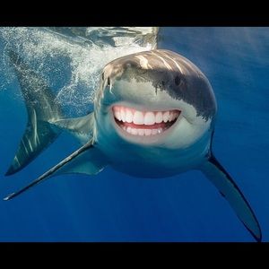 Meet your Posher, Airee