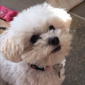 Meet your Posher, Mackenzie