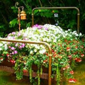 Meet your Posher, Onawa