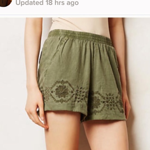 Anthropologie Pants - Anthropologie Embroidered Shorts
