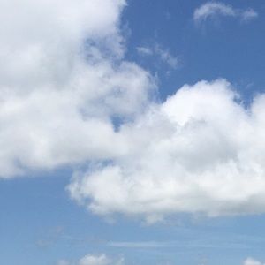 Meet your Posher, Bethany