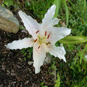 Meet your Posher, Brenda