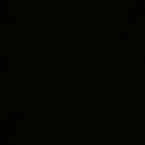 Meet your Posher, Rocky