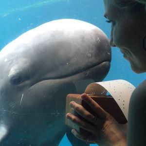 Meet your Posher, Jessie