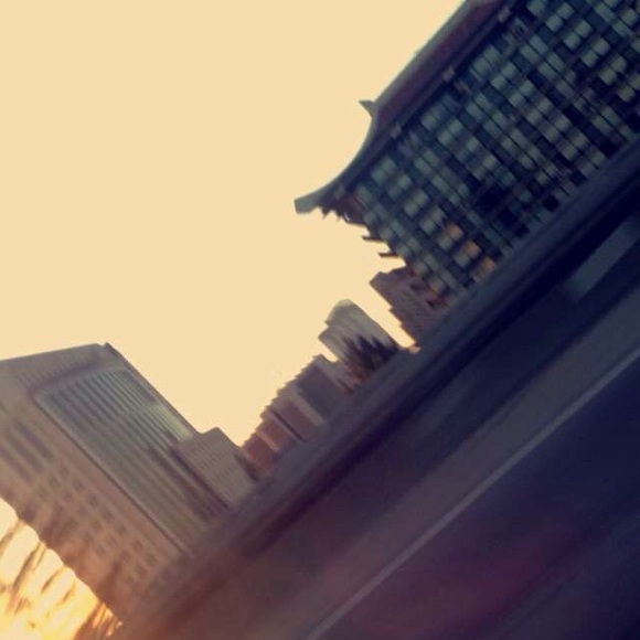 Meet your Posher, Lili - Picture 1 of 1