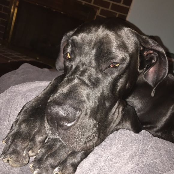 Meet your Posher, Brooke