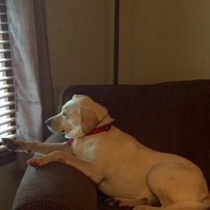 Meet your Posher, Lorie