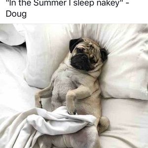 Meet your Posher, Meghan