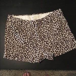 Animal print size 6 j crew shorts