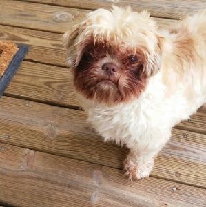 Meet your Posher, Elaine