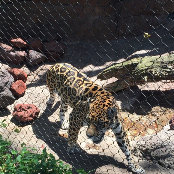 Meet your Posher, Renee