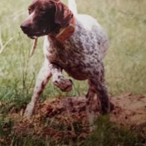 Meet your Posher, Tuckertaker