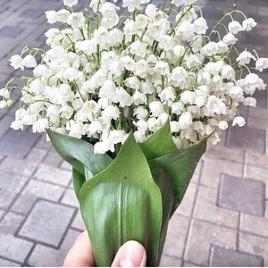 Meet your Posher, Hermine