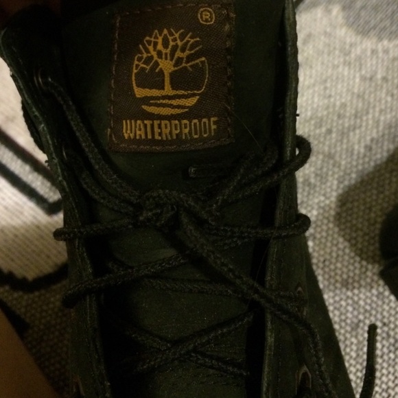 Timberlands - Picture 2 of 3