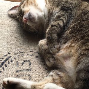 Meet your Posher, Corinne