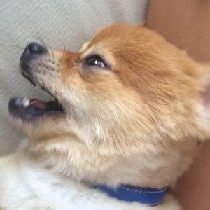 Meet your Posher, Erica