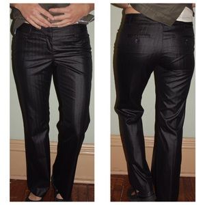 Shimmering Fancy Pants