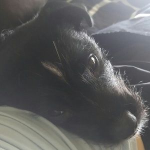 Meet your Posher, Karen