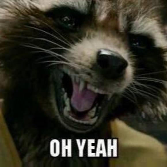 Meet your Posher, Cat - Picture 1 of 1