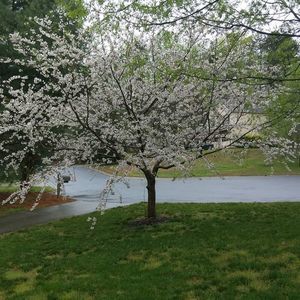 Meet your Posher, Aisha