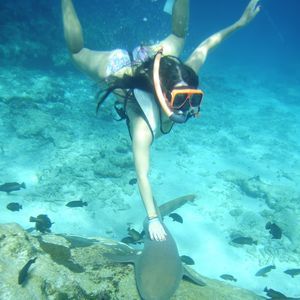 Meet your Posher, Leigh anne