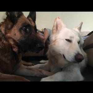 Meet your Posher, Cindy