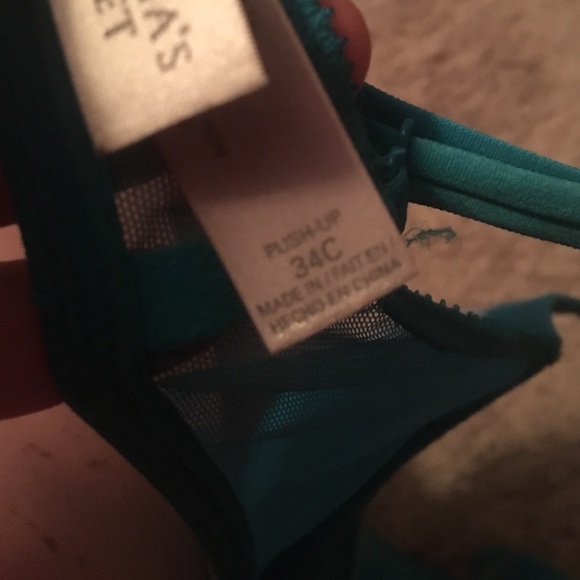 Blue bra - Picture 3 of 3