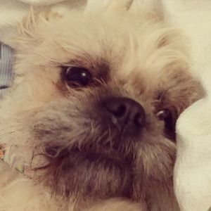 Meet your Posher, Lara