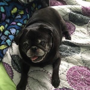 Meet your Posher, Bethany