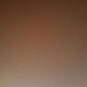 Meet your Posher, Leeanne