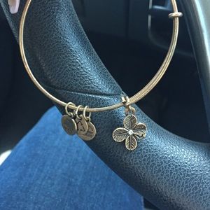 Alex & Ani bracelet
