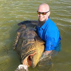 Meet your Posher, Joe